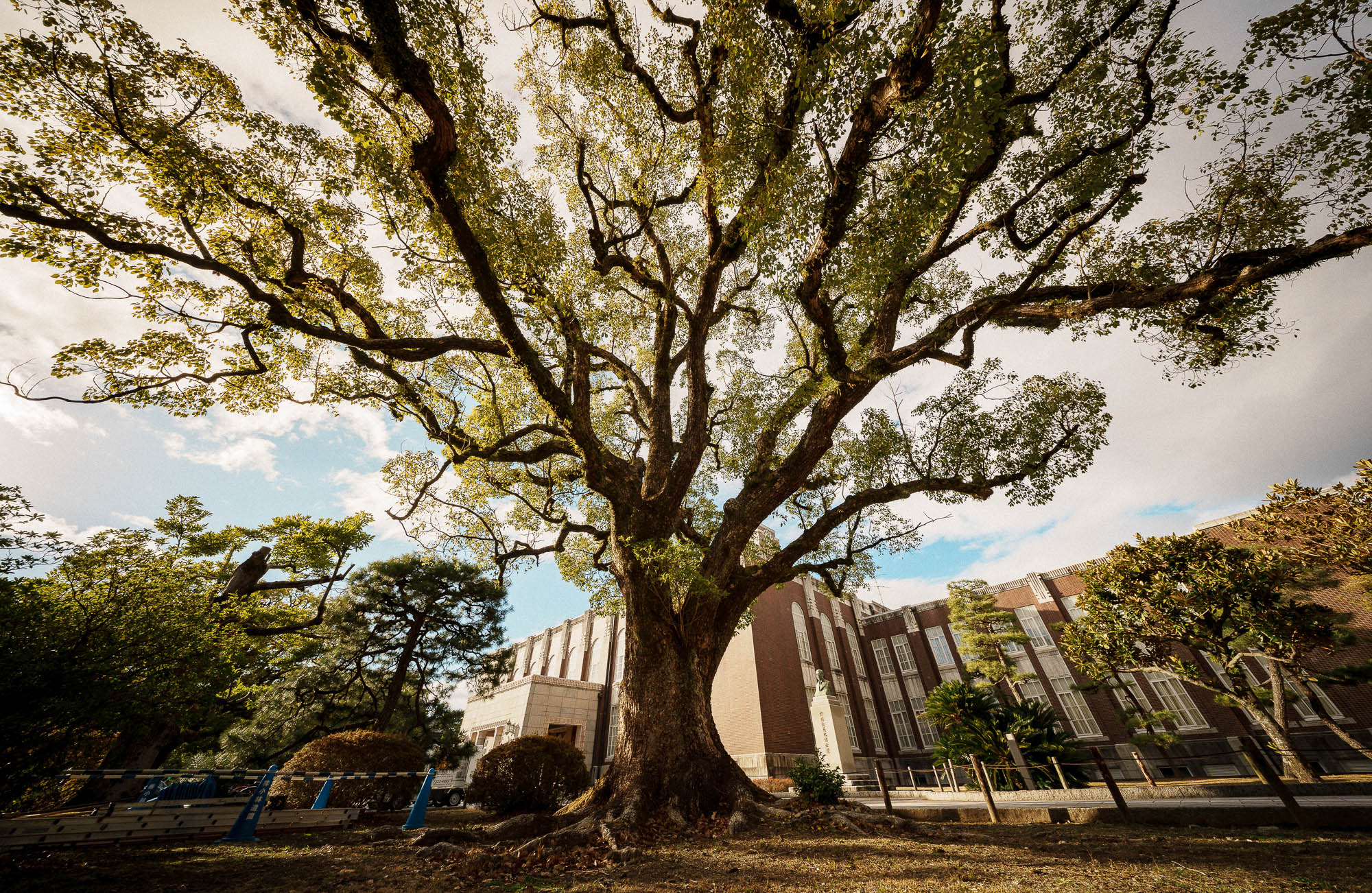 Obiektyw Laowa 10 mm f/2,8 FF II C&D-Dreamer MF do Canon RF